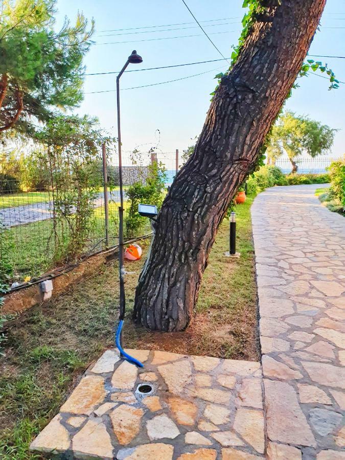 Makis&Fani Homes Agios Ioannis  Exterior photo